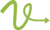 Vector