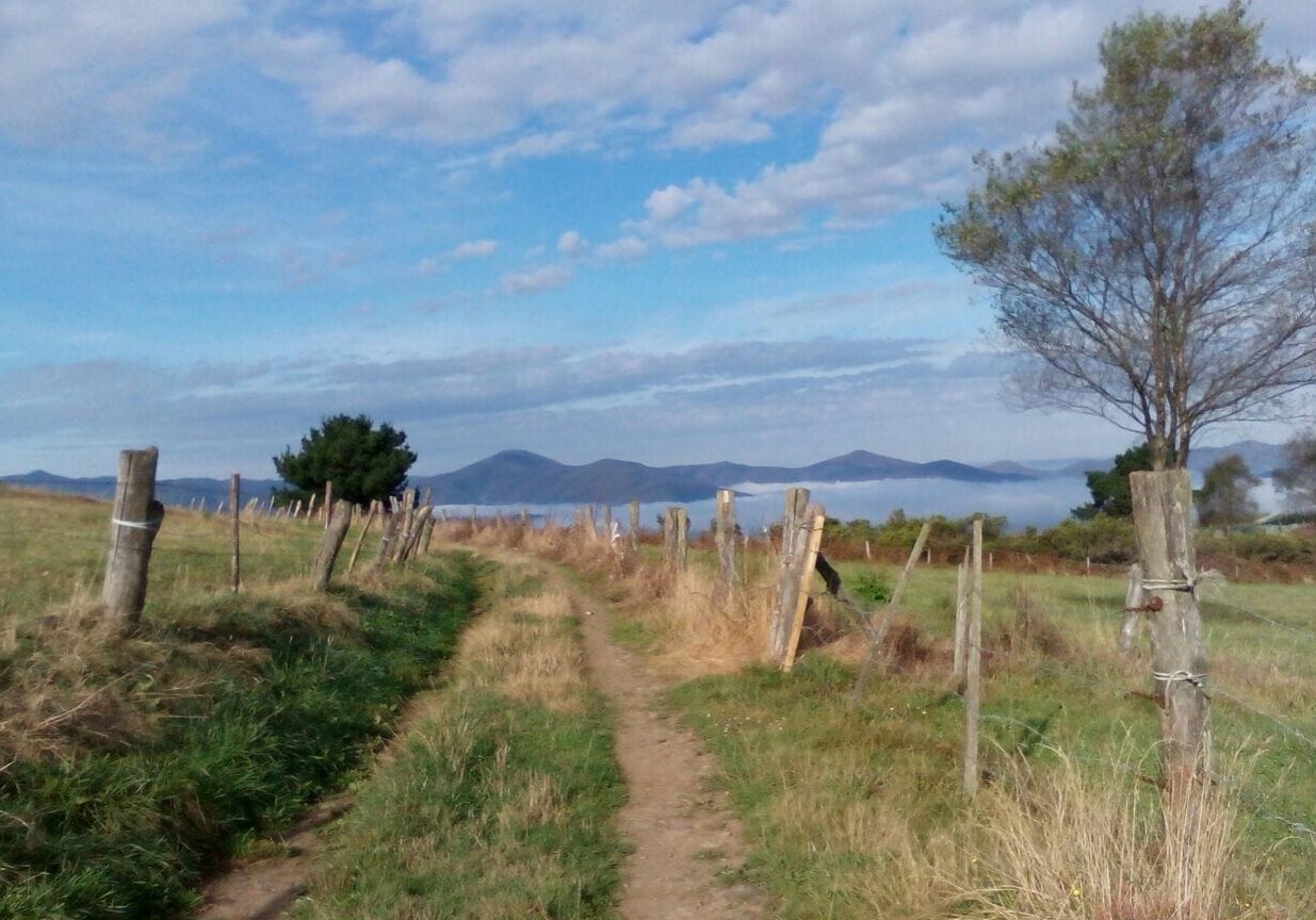 IMG-20160930-WA0012 1