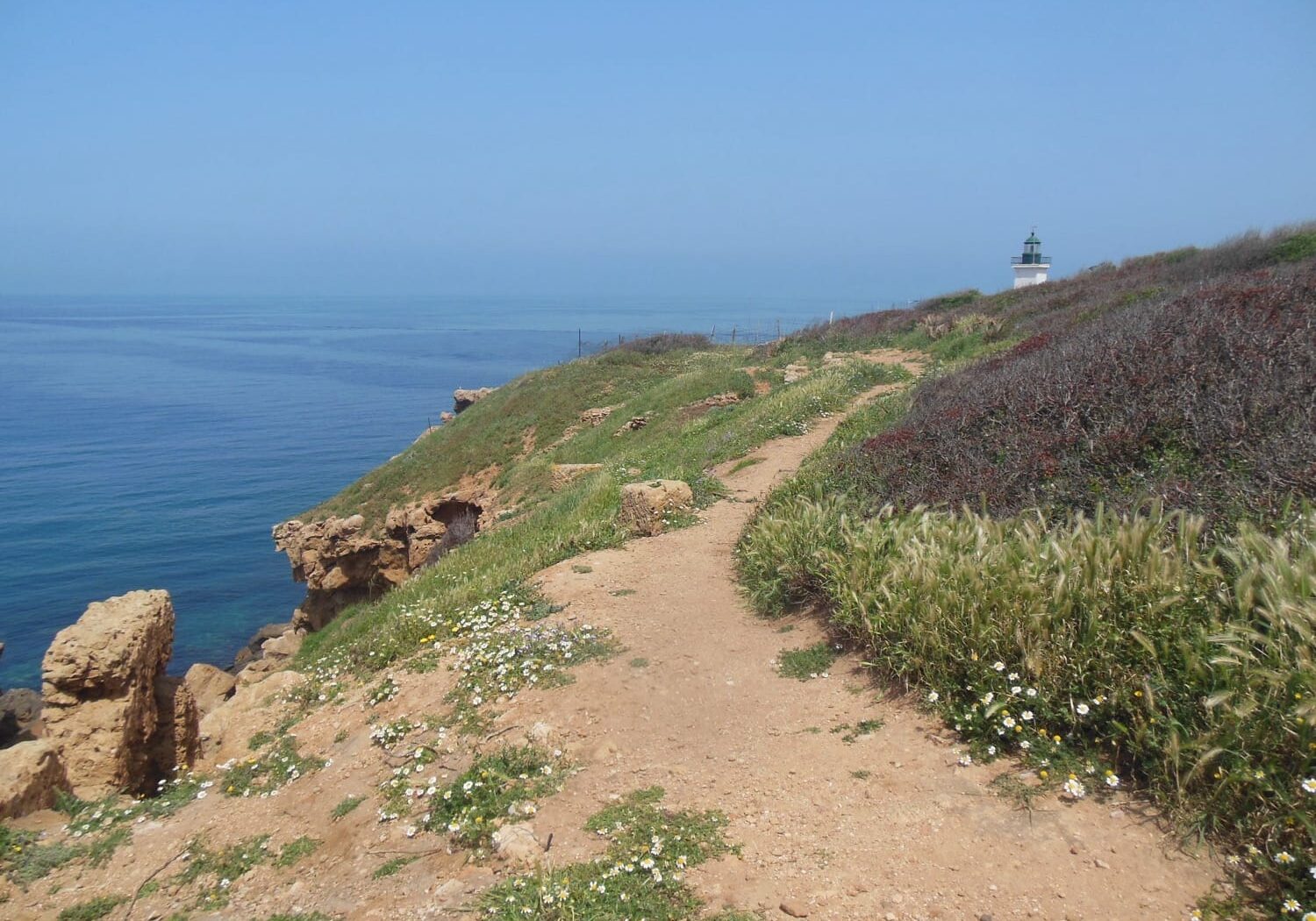 Sophro-qi_Martina-Hartmann_0193